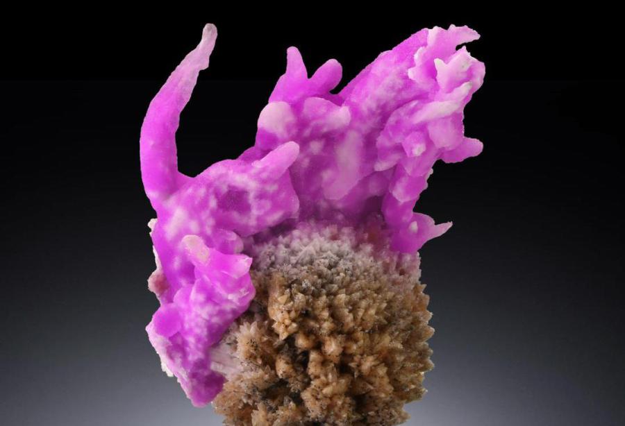 Specimen illustrating shape