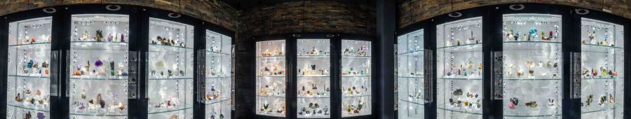 The showcases of the private museum